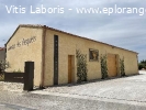 Cherche alternant BTS Viticulture/Œnologie (H/F)