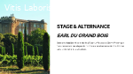 Stage viticulture