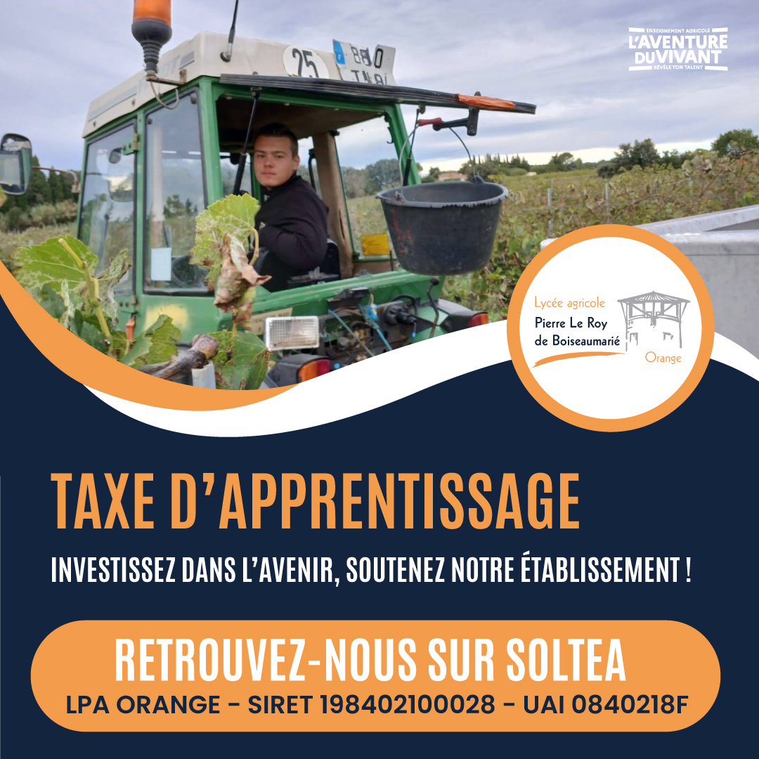 PROMO TAXE