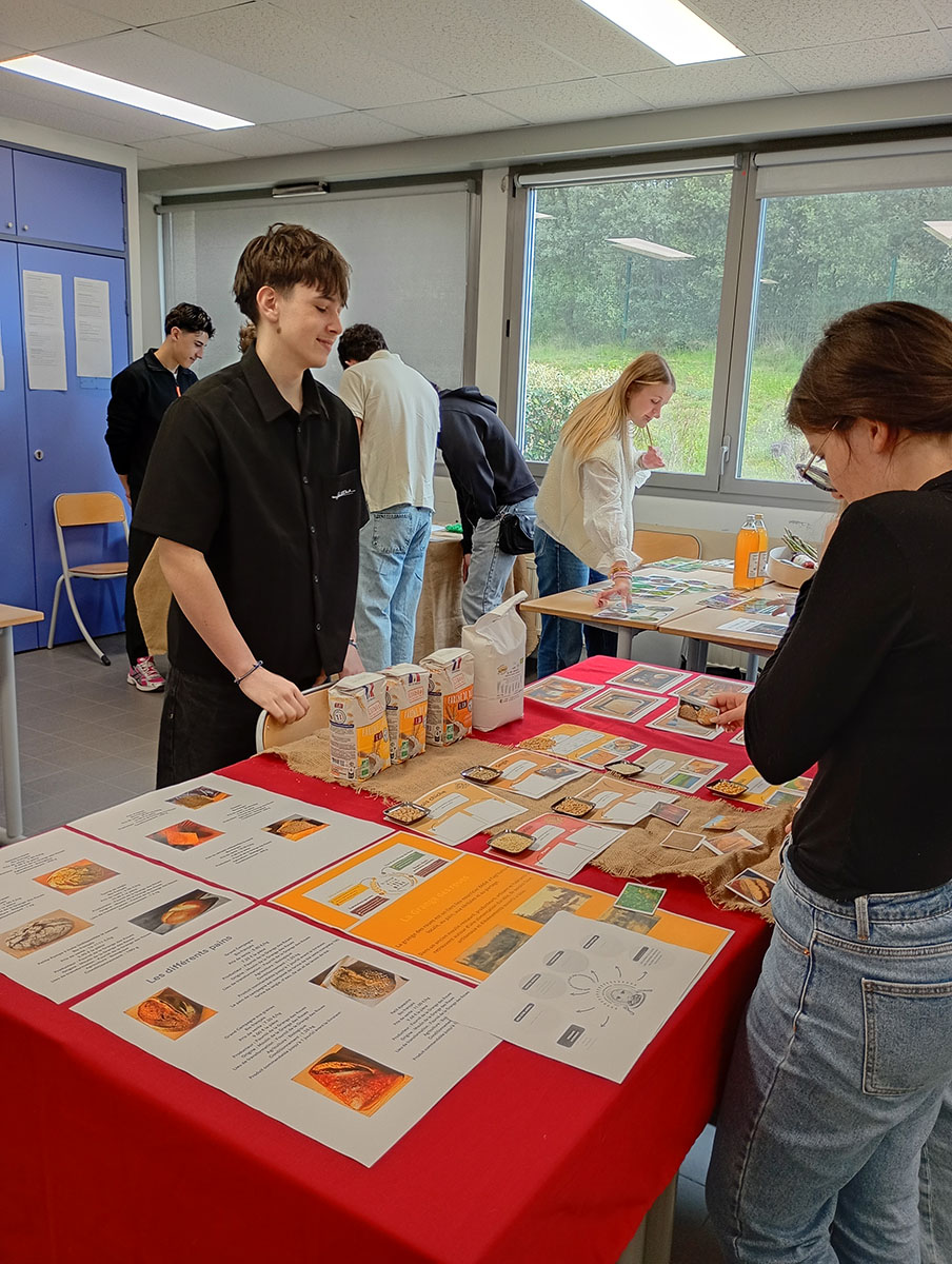 IMG 20260326 094906164 MFNR HDR