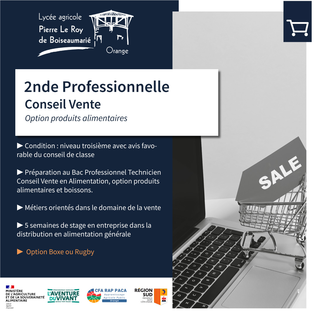 2nde CV