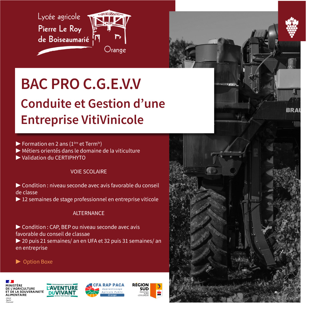BAC PRO Conduite et Gestion d'une Entreprise Vitivinicole