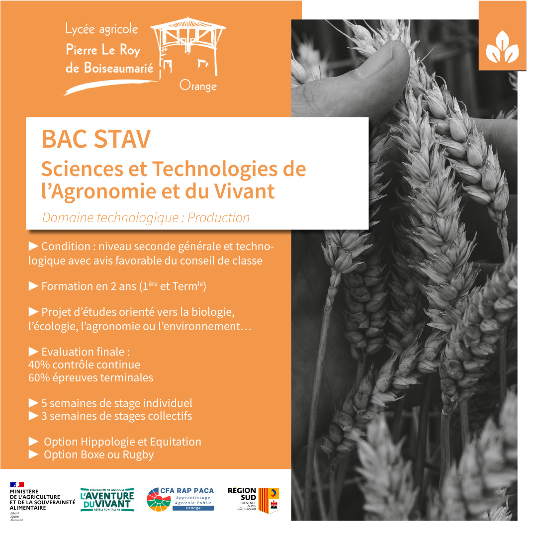 BAC STAV