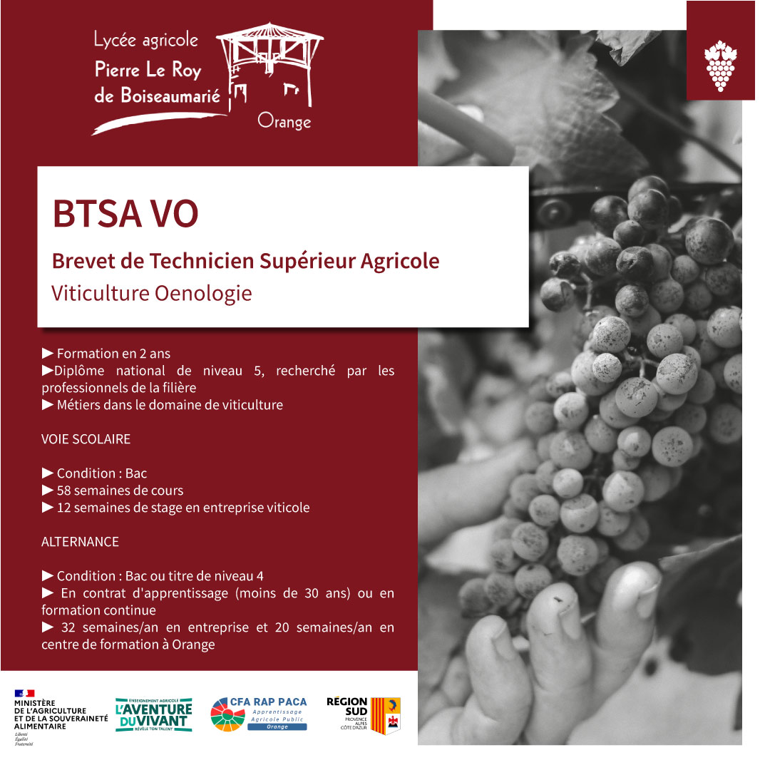 BTSA Viticulture Oenologie