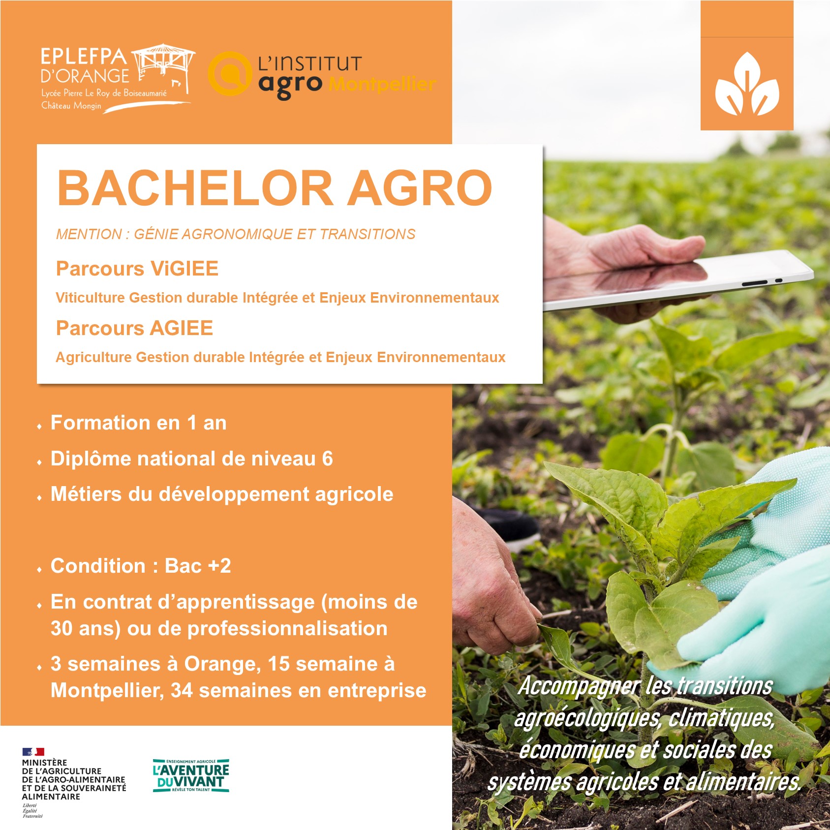 Visuel Bachelor GAT 2