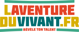 aventure couleur